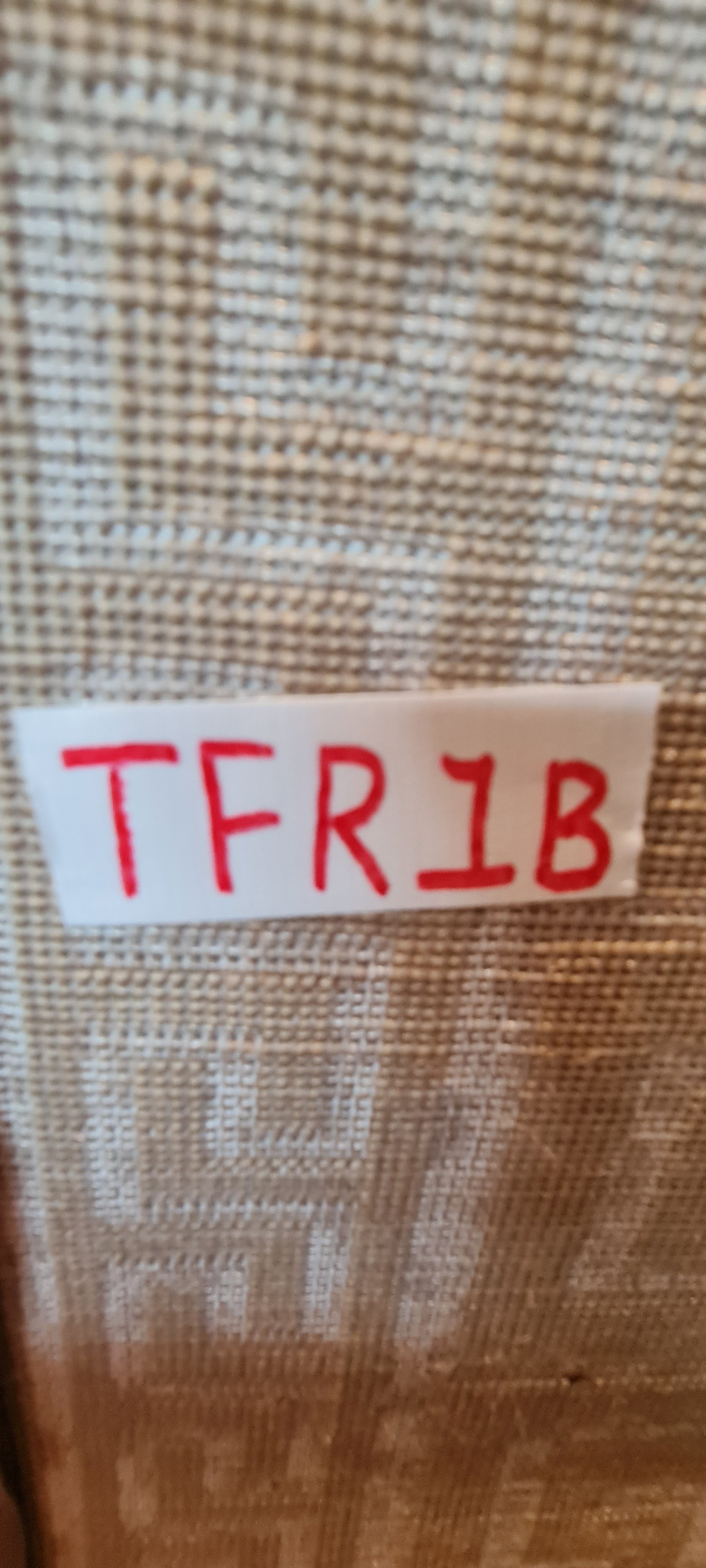 MTF-GOLD-TFR1B