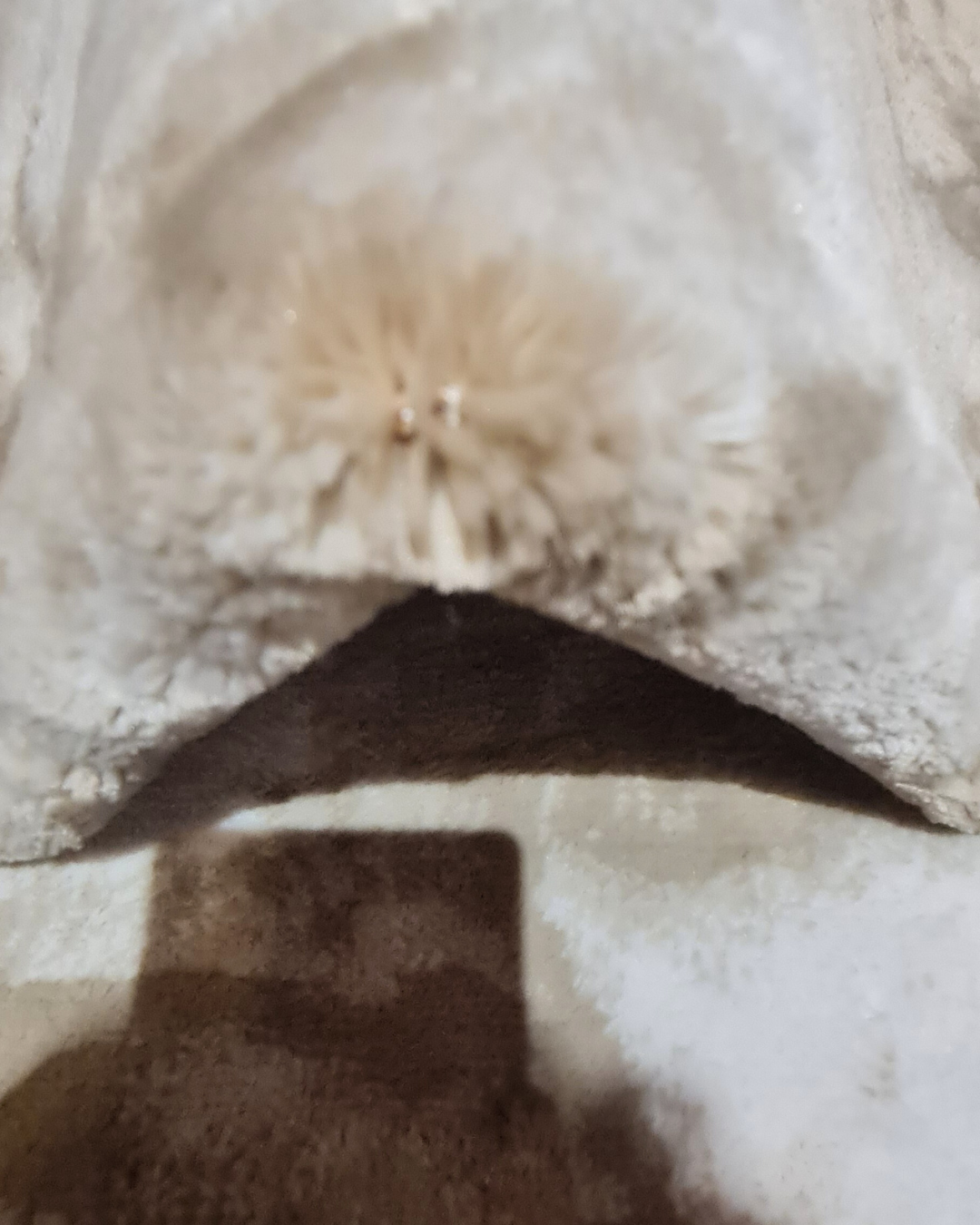 MRO-BEIGE-RNEW2