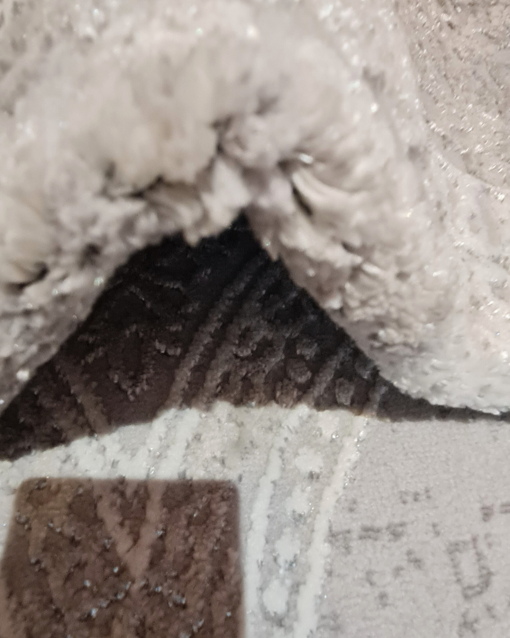 PSA-Grey-SP12A
