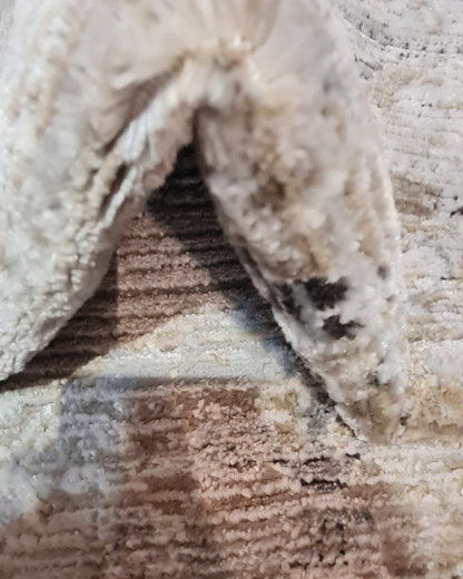 MSA-06082B-BEIGE-SM82B