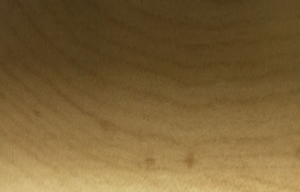 Skirting